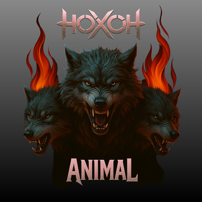 ANIMAL cover